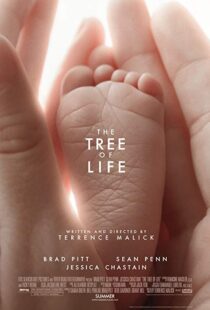 دانلود فیلم The Tree of Life 20114463-1155176585