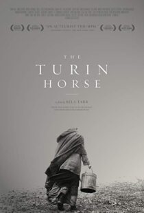 دانلود فیلم The Turin Horse 201110493-1490592036