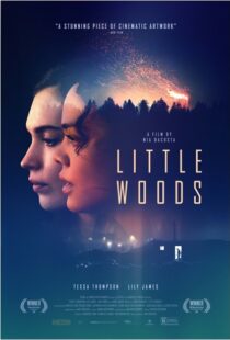 دانلود فیلم Little Woods 201822292-383085812