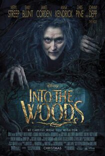 دانلود فیلم Into the Woods 20143675-1592181392