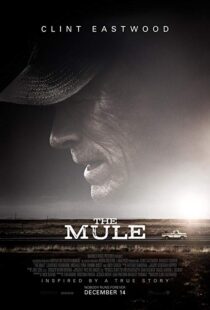 دانلود فیلم The Mule 201819828-1792646510