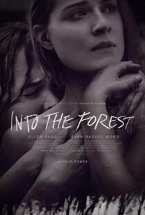 دانلود فیلم Into the Forest 20159776-1006657414