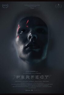 دانلود فیلم Perfect 201818991-1418446794