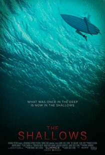 دانلود فیلم The Shallows 20166608-1728233805