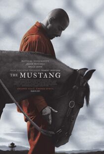 دانلود فیلم The Mustang 201910122-2054794420