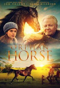 دانلود فیلم Orphan Horse 20188125-1773073794