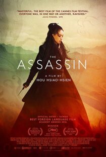 دانلود فیلم The Assassin 201513760-447274123