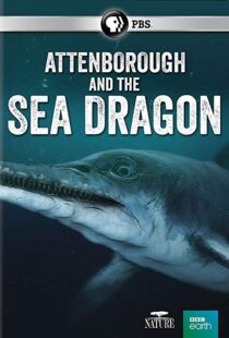 دانلود مستند Attenborough and the Sea Dragon 20188753-1995370354