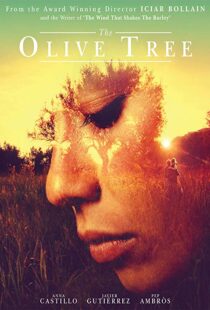 دانلود فیلم The Olive Tree 201615934-1700155470