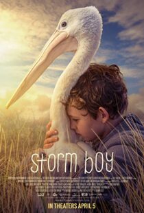 دانلود فیلم Storm Boy 20199003-225609617