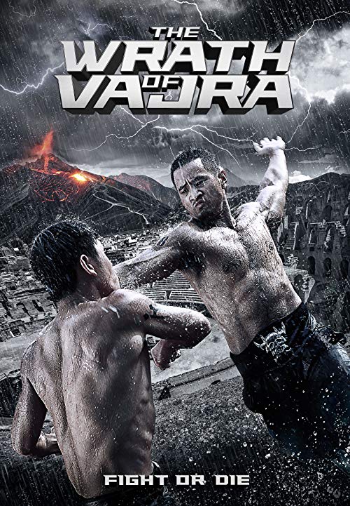 دانلود فیلم The Wrath of Vajra 2013