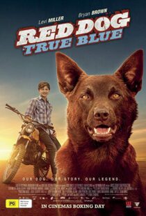 دانلود فیلم Red Dog: True Blue 20168899-922349542