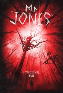 دانلود فیلم Mr. Jones 201337611-1496494932