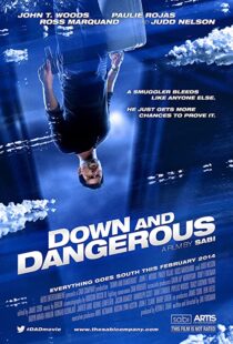 دانلود فیلم Down and Dangerous 201340211-494547549