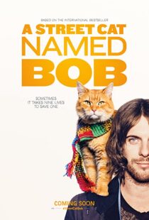 دانلود فیلم A Street Cat Named Bob 201641621-1997673176