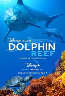 دانلود مستند Dolphin Reef 201838724-315974533