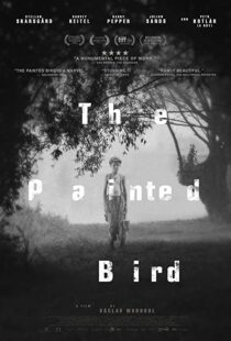 دانلود فیلم The Painted Bird 201943285-199169226