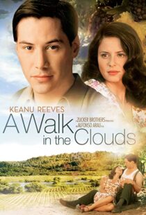 دانلود فیلم A Walk in the Clouds 199553815-1833694516