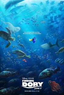 دانلود انیمیشن Finding Dory 201658678-1279510118