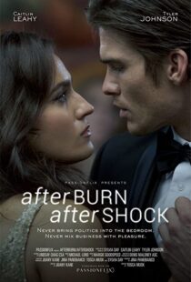 دانلود فیلم Afterburn/Aftershock 201777302-1086323225