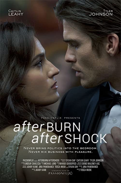 دانلود فیلم Afterburn/Aftershock 2017