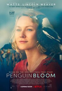 دانلود فیلم Penguin Bloom 202073302-1868799639