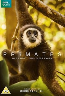 دانلود مستند Primates77865-999622343