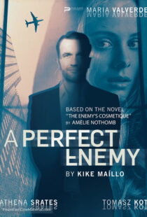 دانلود فیلم A Perfect Enemy 202082295-2132887261