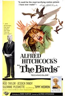 دانلود فیلم The Birds 196382372-900997314