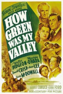 دانلود فیلم How Green Was My Valley 194181855-1613315046