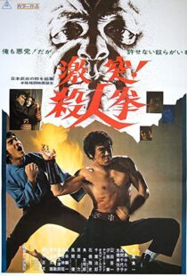 دانلود فیلم The Street Fighter 197483791-412054589