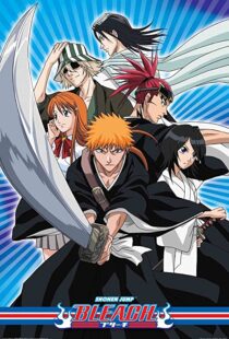 دانلود انیمه Bleach85638-1384956658