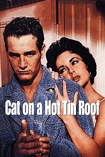 دانلود فیلم Cat on a Hot Tin Roof 1958