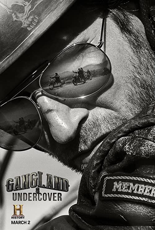 دانلود سریال Gangland Undercover