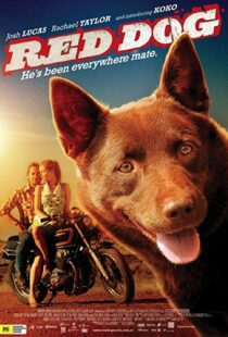 دانلود فیلم Red Dog 201187414-1670051480