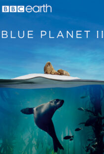 دانلود مستند Blue Planet II100194-1610873583