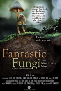 دانلود مستند Fantastic Fungi 2019100518-543933960