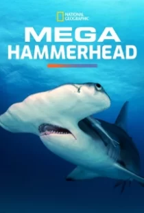 دانلود مستند Mega Hammerhead 2016103122-1816573121