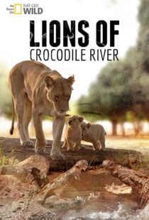 دانلود مستند Lions of Crocodile River 2007103328-799505094