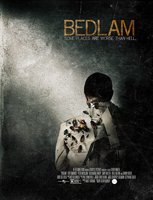 دانلود فیلم Bedlam 2015