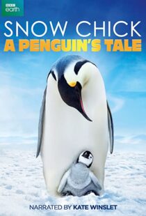 دانلود مستند Snow Chick: A Penguin’s Tale 2015109604-1853240053