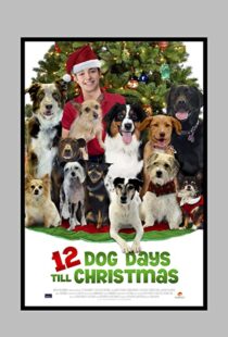 دانلود فیلم 12 Dog Days Till Christmas 2014100712-551499612