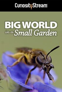 دانلود مستند Big World in a Small Garden 2016102965-1720628804