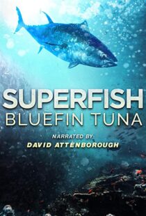 دانلود مستند Superfish Bluefin Tuna 2012101607-2123823169