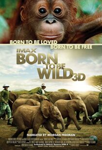 دانلود مستند Born to Be Wild 2011110503-542381478