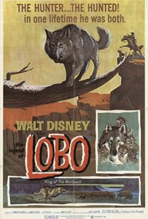 دانلود فیلم The Legend of Lobo 1962111441-463317726