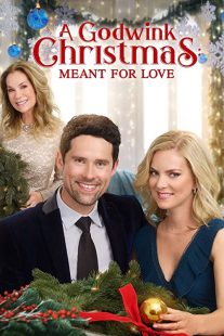 دانلود فیلم A Godwink Christmas: Meant for Love 201931842-717267646