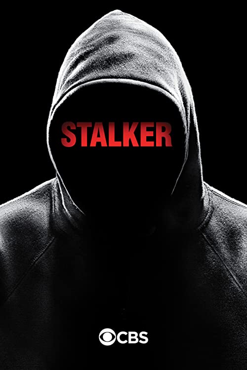 دانلود سریال Stalker