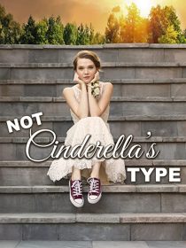 دانلود فیلم Not Cinderella’s Type 2018254350-610468216