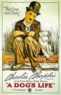 دانلود فیلم A Dog’s Life 1918270674-917905510